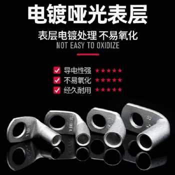 SC10-10窥口紫铜线鼻子 端子头线耳 电线压接接线端子