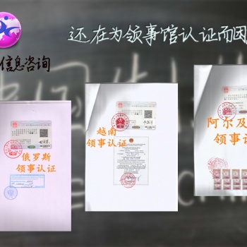 投标声明哥斯达黎加使馆认证