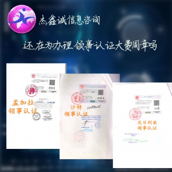 赞比亚大使馆董事名单签章