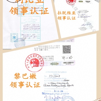 瑞士企业报关单领事馆签章