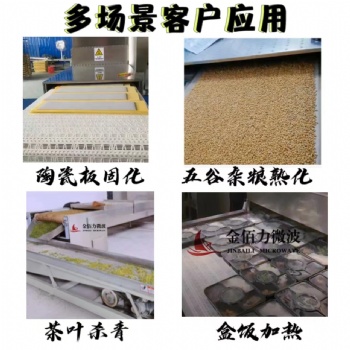 陶瓷胚料微波加热固化干燥设备?