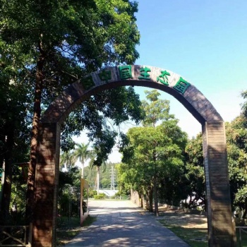 深圳凤凰山周边农家乐田中园公司团建部门拓展值得分享