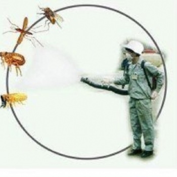 新乡灭老鼠/新乡灭蟑螂/新乡消杀公司各种场所灭虫服务