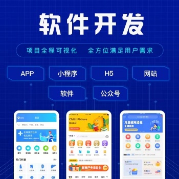 软件开发外包的细节和流程