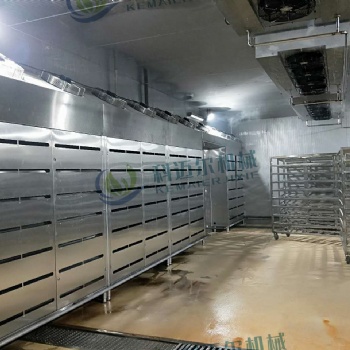 牛羊肉类解冻水产品解冻鸡鸭解冻 低温高湿解冻机