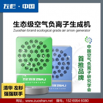 左杉 负氧离子发生器负离子机空气净化器家用