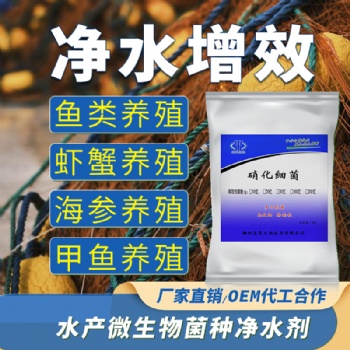硝化细菌介绍,分为亚硝酸菌和硝酸菌