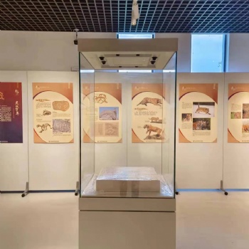 博物馆展示柜古玩历史遗址陈列展柜陶瓷古董工艺品展览展示柜定制