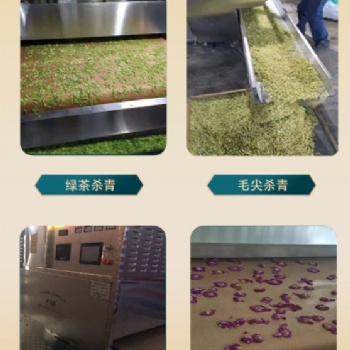 桂花微波杀青机 隧道式花茶茶叶生产线 金银花玫瑰花固色设备
