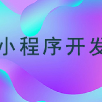 武汉小程序开发——大刘信息