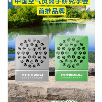 左杉 负离子发生器家用负氧离子机空气净化器