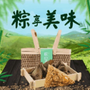五味友嘉兴肉粽子甜粽咸粽礼盒装端午节礼品