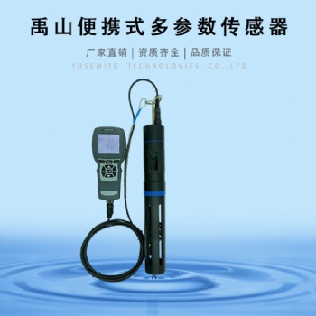 Y4001手持式多参数传感器