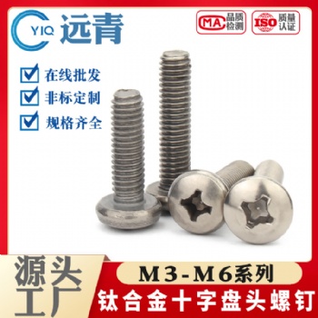 钛合金TA2十字圆头自攻螺丝纯钛盘头小木牙螺钉大全M3M4M5M6X8X10