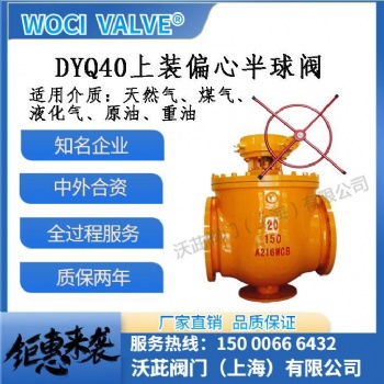 woci DYQ40上装偏心半球阀 球阀厂家