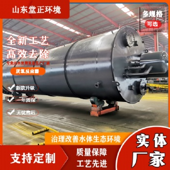 甘蔗榨糖废水 制糖工业废水 高有机物污水处理设备 UASB厌氧反应器