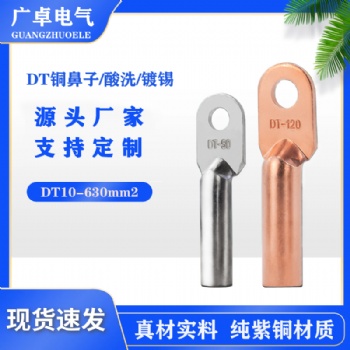 厂家加工定做挂锡铜接线耳DT-120平方镀锡铜鼻子电缆电线铜接头