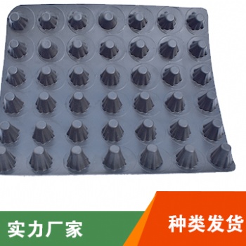 保定排水板规格齐全施工便捷