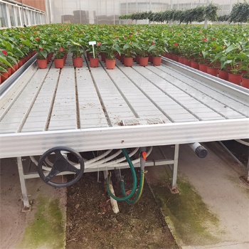 大棚花卉种植移动苗床 固定苗床安装 水肥一体化设计