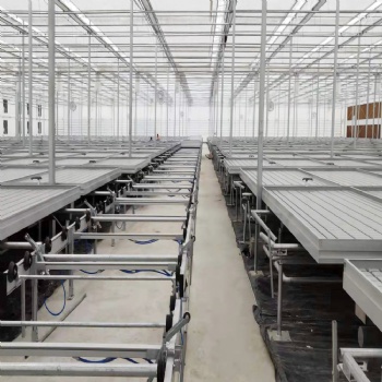 温室大棚全自动潮汐式物流苗床安装 增加利用率 使用方便