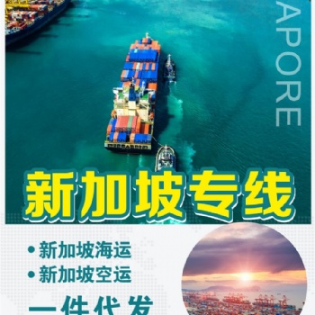 智慧国际物流新加坡海运双清到门