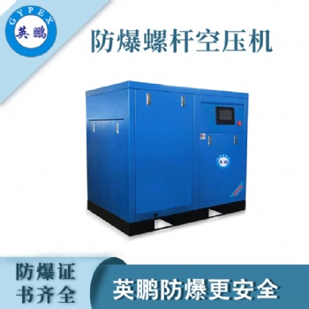 英鹏防爆永磁变频空压机YPHB-132EX(CFT)