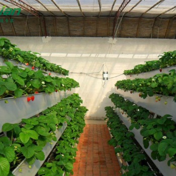 温室大棚立体种植技术
