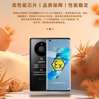 英鹏防爆安全高性能手机