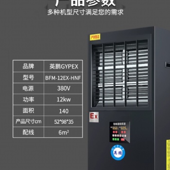 英鹏防爆立式暖风机商用工业取暖热风大功率电暖器BFM-12EX-HNF