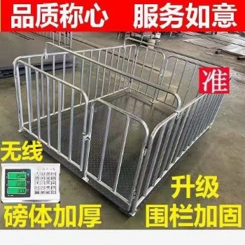 猪场用无线电子围栏地磅供防抖动防?？? width=