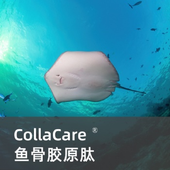 鳐鱼肽Cartidyss? II型胶原肽 类人皮深海肽