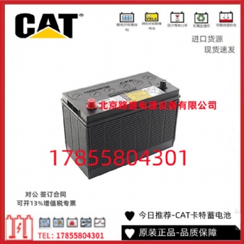 德国进口REMCO蓄电池RM12-105 免维护 12V105铅酸蓄电池 原装进口