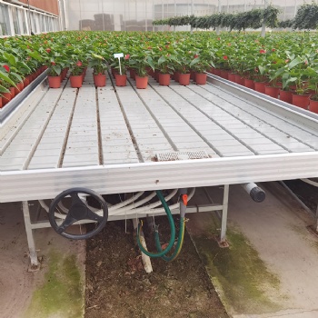 温室大棚药材种植架 水培潮汐式苗床塑料苗盘 铝合金边框 防翻卡