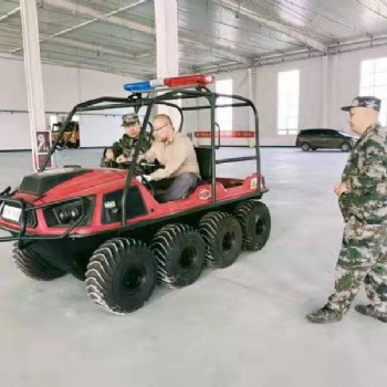 霸王龙BWL全地形水陆两栖车**的两栖“钢铁猛兽”
