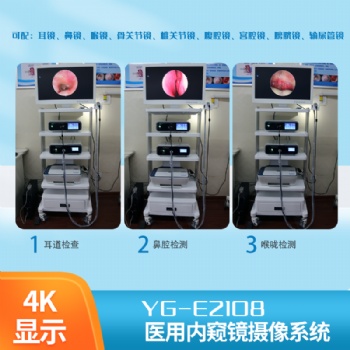 可视采耳设备**排名 可视采耳仪器型号价格多少钱 可视采耳仪器尺寸大小 可视采耳设备操作过程