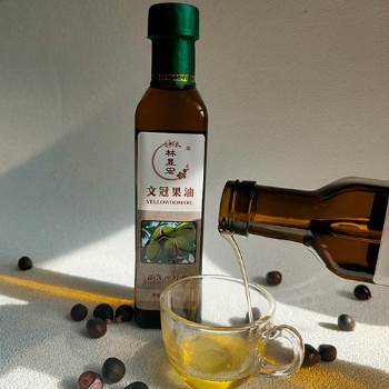 文冠果油品牌食用文冠果油好处