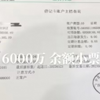 银行存款余额单证明资金实力