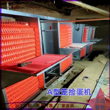 养鸡场自动捡蛋机 自动翻蛋机 捡蛋器 全自动养鸡设备