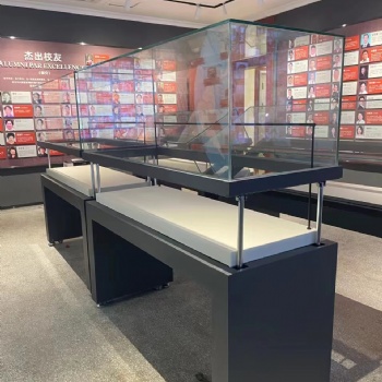 博物馆电动升降柜各大商业展示展览柜安装制作