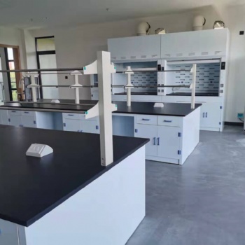 廉江市实验台-遂溪县PP通风柜-湛江实验室气路工程-力荐鸿嘉实验室设备