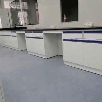 灌阳实验室家具-实验台-通风柜-仪器台-试剂柜厂家**