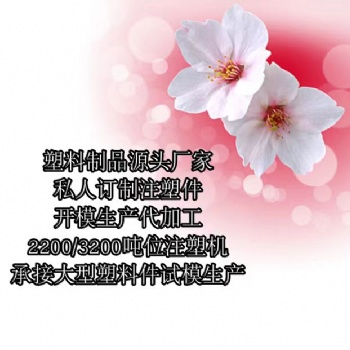 济南市塑料制品生产定制注塑厂家