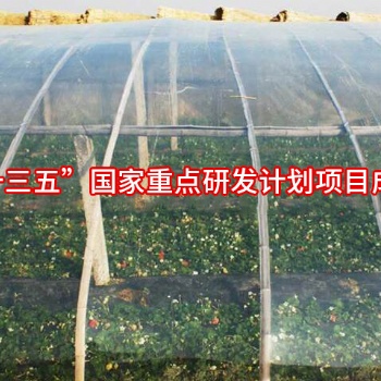 PO膜系列--光能宝2号漫散射高光效涂覆膜简介