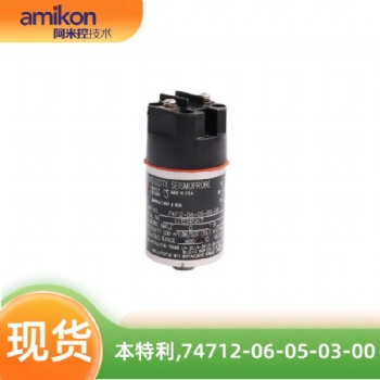 本特利高温探头74712-06-05-03-00
