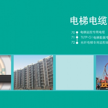 天诚电梯电缆，苏州爱普特