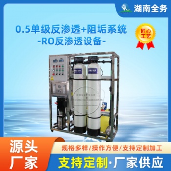 ro商用小型净水器反渗透纯水设备水处理直饮水0.5吨超