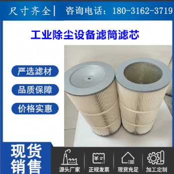 工业除尘滤筒350X660过滤性能好粉尘滤芯325X600静电喷涂滤筒