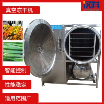 竹笋冻干机 菠萝蜜真空冷冻干燥机 全自动PLC控制真空冻干机