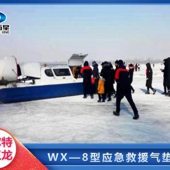 抗洪先锋艇：气垫船的多功能使命，守护水域的钢铁长城！
