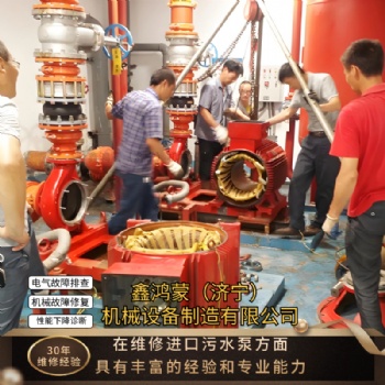 污水厂废水处理设备格兰富进口污水泵维修保养泵体剧烈振动